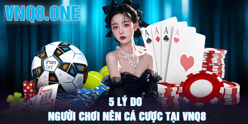 5 lý do người chơi nên cá cược tại vnq8