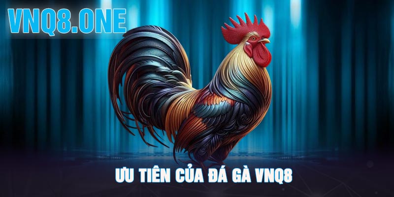 Ưu tiên của đá gà VNQ8