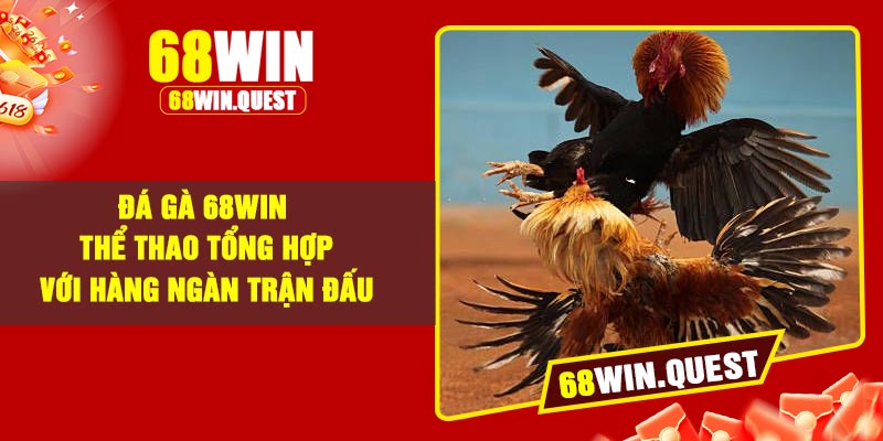 Đá Gà 68Win – Thể Thao Tổng Hợp Với Hàng Ngàn Trận Đấu