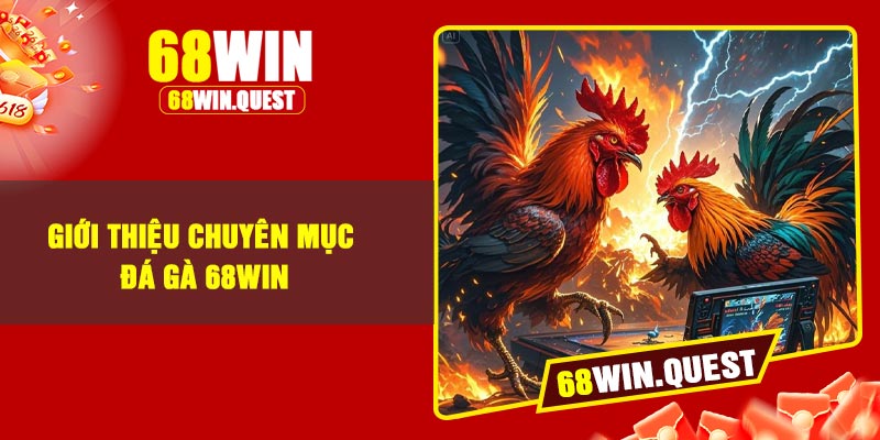 Giới thiệu chuyên mục đá gà 68Win