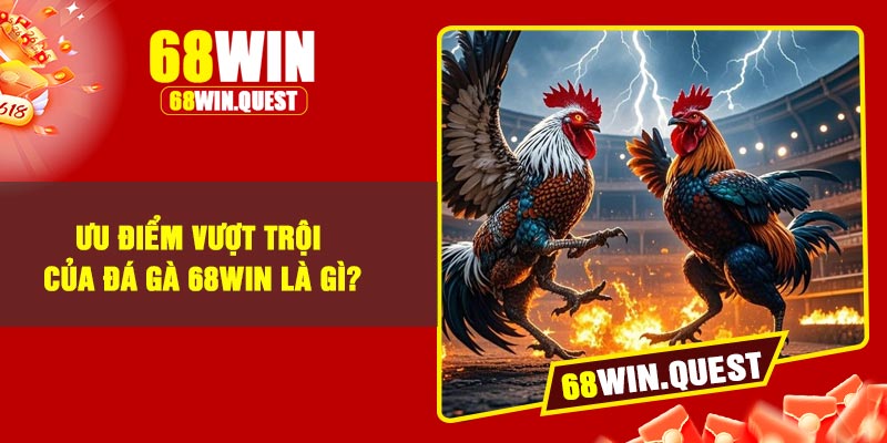 Ưu điểm vượt trội của đá gà 68Win là gì?